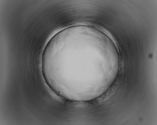 X0000102000811200808081659