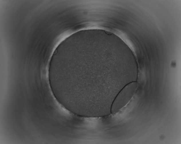 X0000102000813200808081659