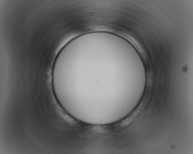 X0000102000814200808081659