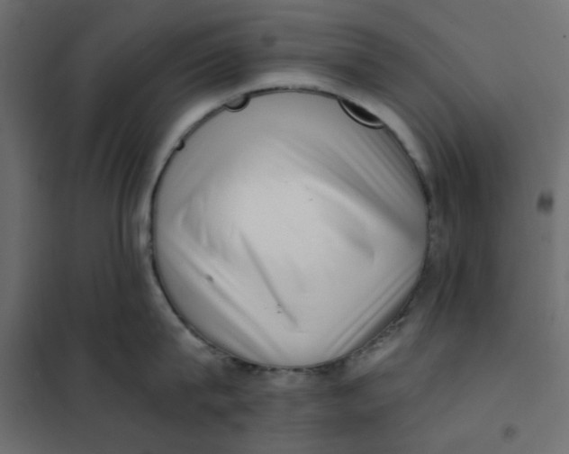 X0000102000815200808081658