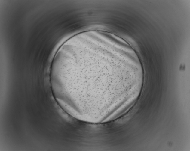 X0000102000816200808081658