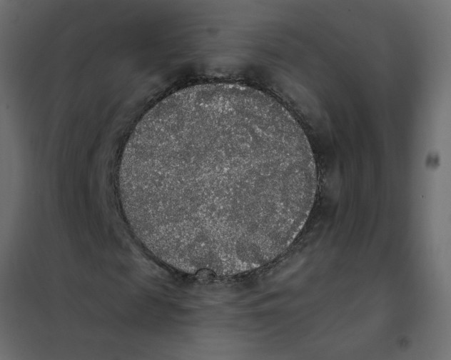 X0000102000817200808081658