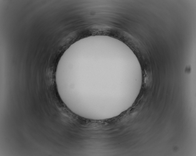 X0000102000819200808081658