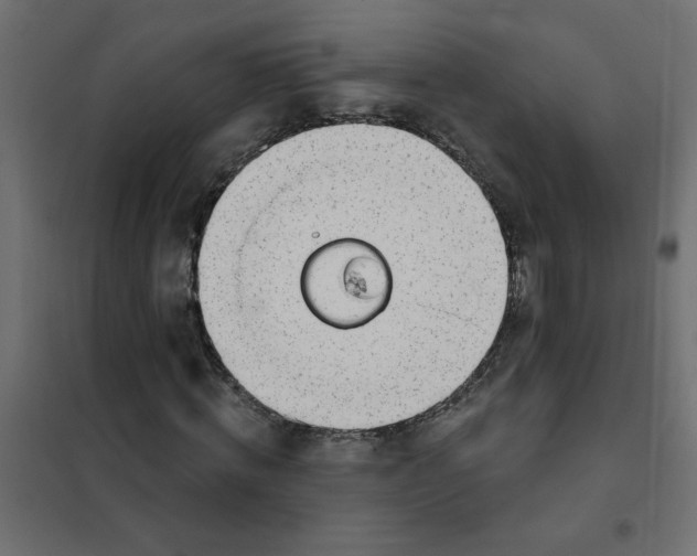 X0000102000820200808081658