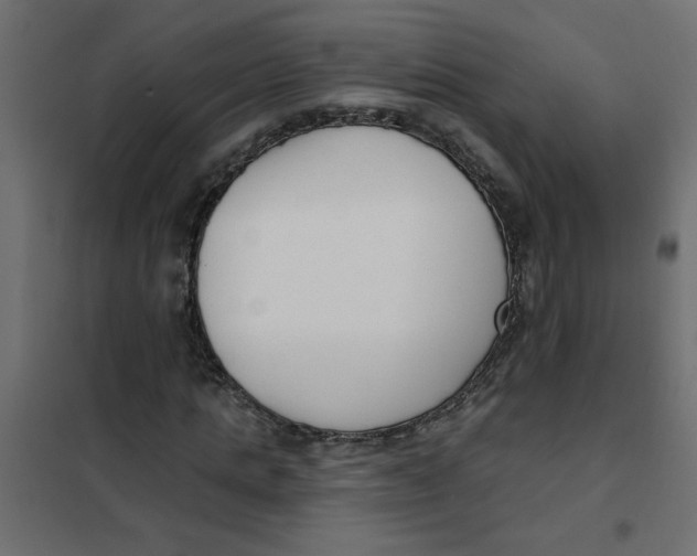 X0000102000821200808081658