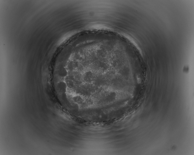 X0000102000823200808081658