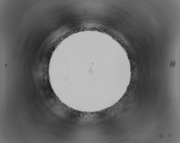 X0000102000824200808081658