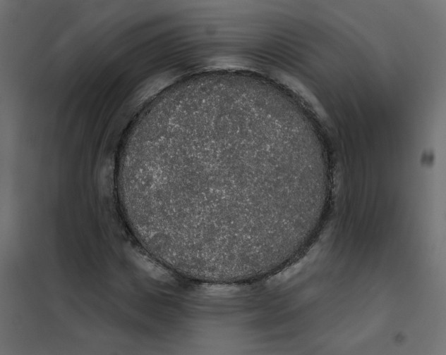 X0000102000825200808081658