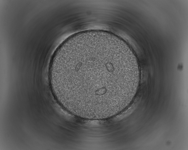 X0000102000828200808081658