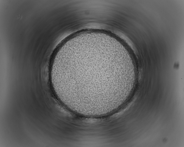 X0000102000829200808081658