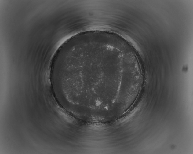 X0000102000830200808081658