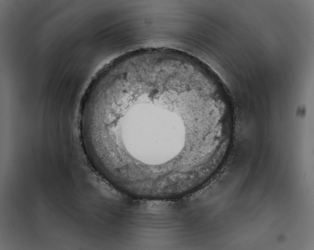 X0000102000832200808081658