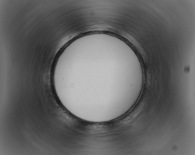 X0000102000834200808081658