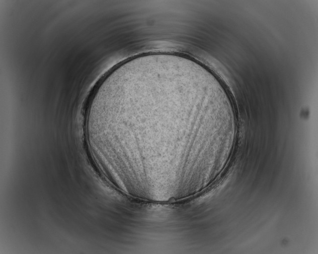 X0000102000835200808081658