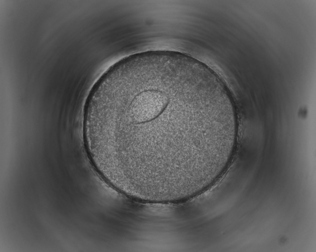 X0000102000836200808081658