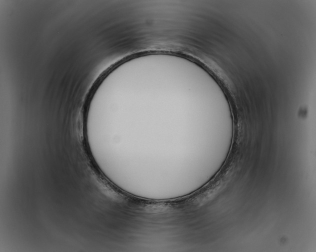 X0000102000838200808081658