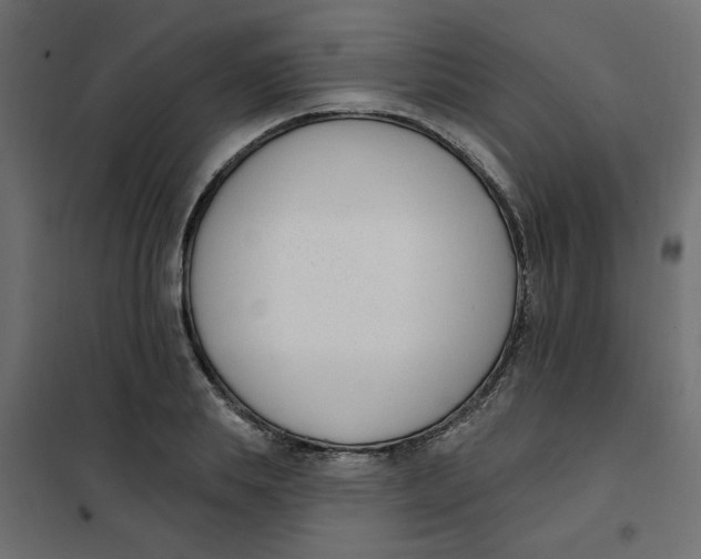 X0000102000839200808081658