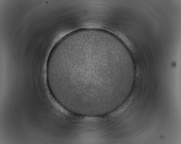 X0000102000840200808081658