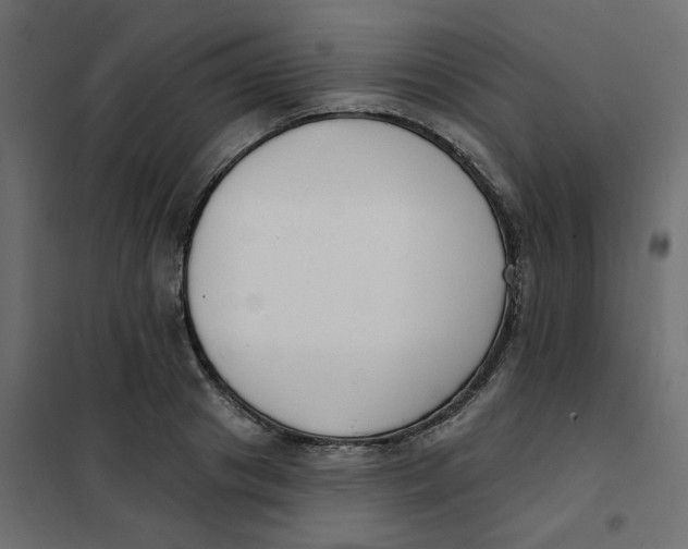 X0000102000841200808081658