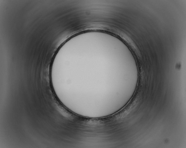 X0000102000842200808081658