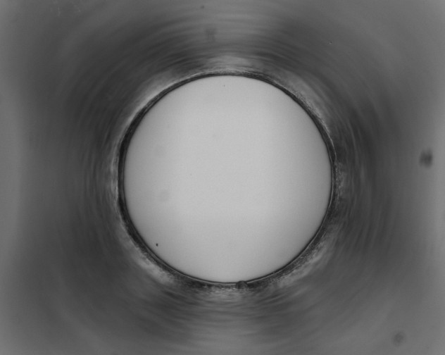 X0000102000843200808081658