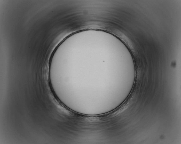 X0000102000844200808081658