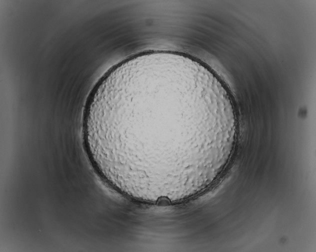 X0000102000845200808081658