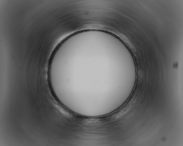 X0000102000846200808081658