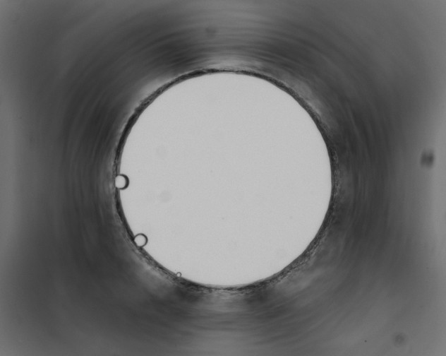 X0000102000848200808081658