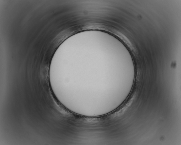 X0000102000849200808081658