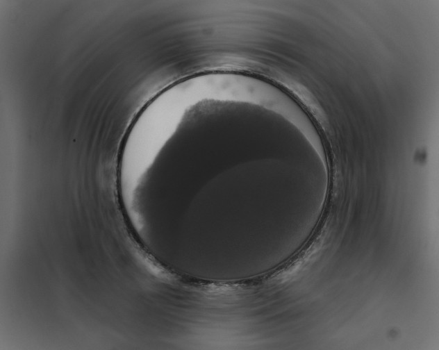 X0000102000850200808081658