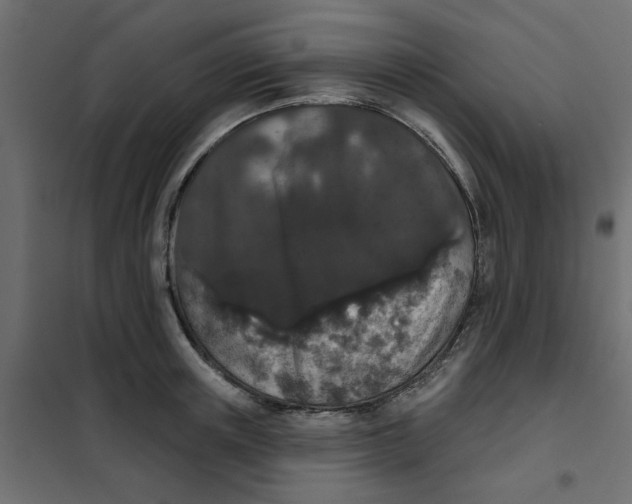 X0000102000851200808081658