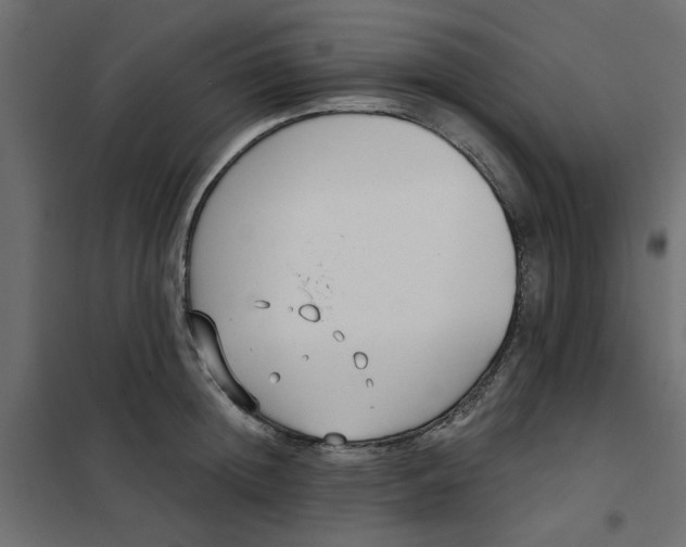 X0000102000852200808081658