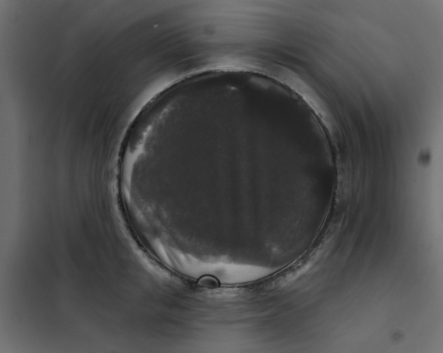 X0000102000853200808081658