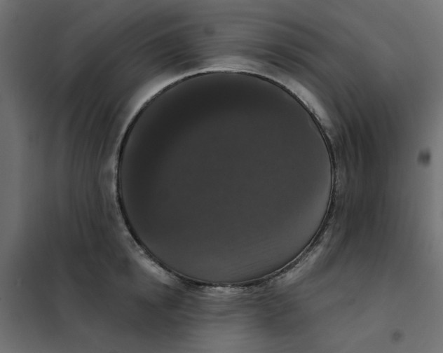 X0000102000854200808081658