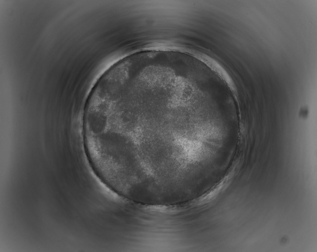 X0000102000855200808081658