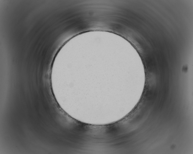 X0000102000856200808081658