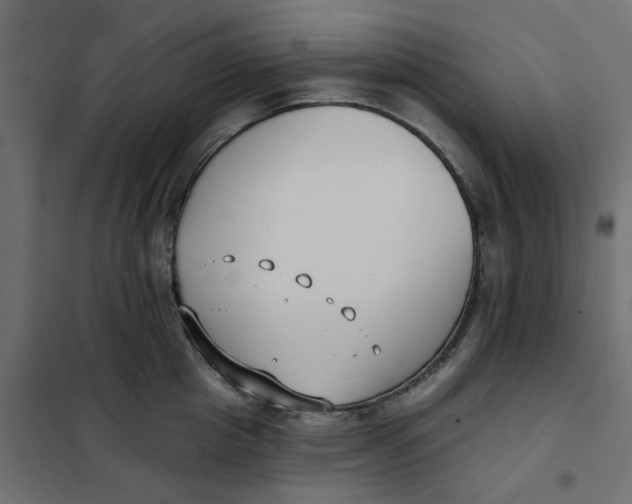 X0000102000857200808081658