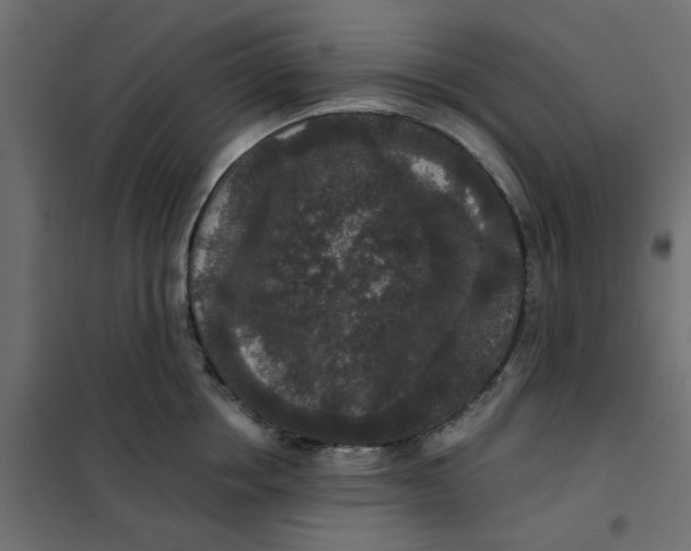 X0000102000858200808081658