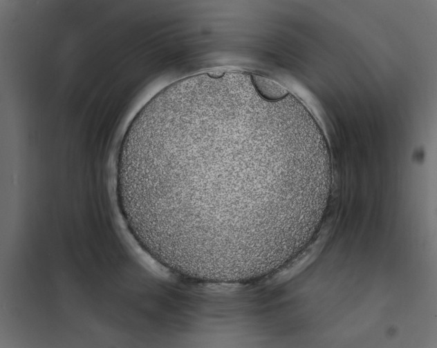 X0000102000859200808081658