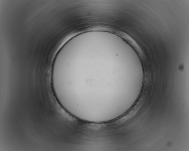 X0000102000860200808081658