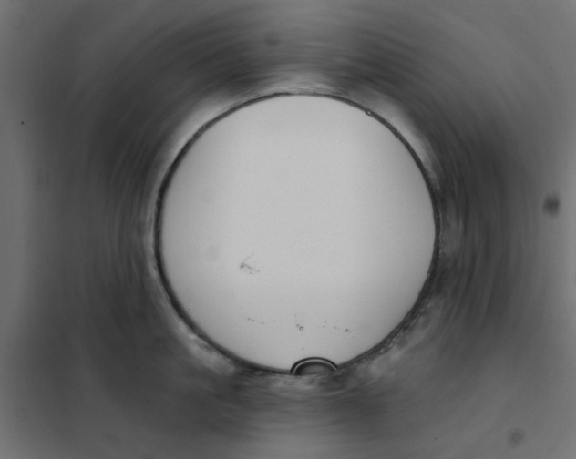 X0000102000861200808081658