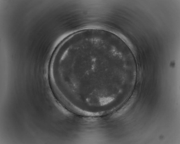 X0000102000862200808081658