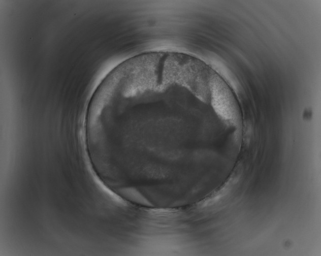 X0000102000863200808081658