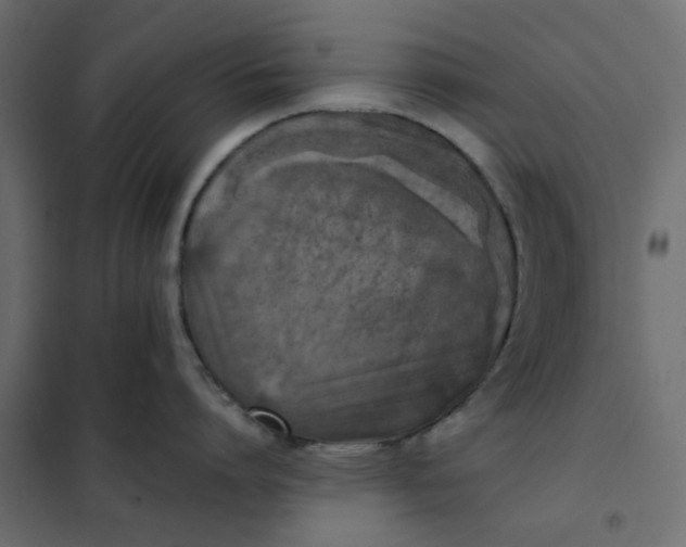 X0000102000864200808081658