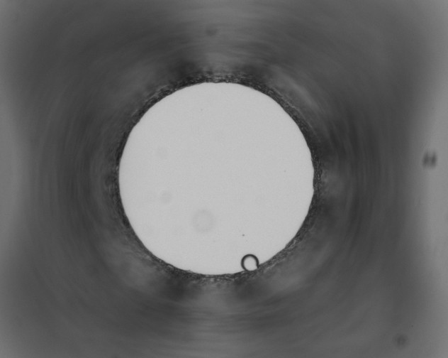 X0000102000865200808081658