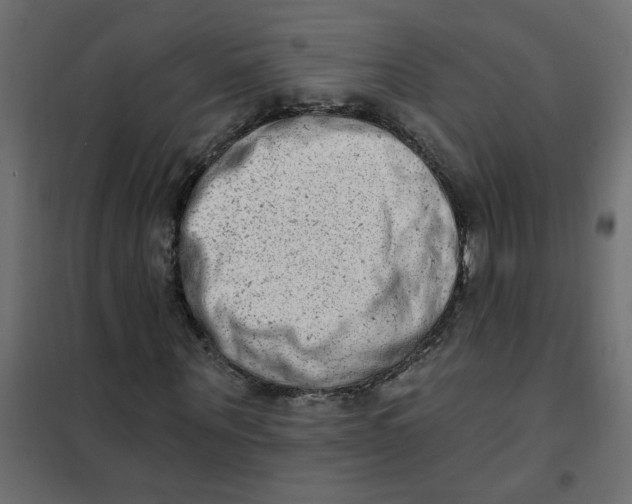 X0000102000867200808081658