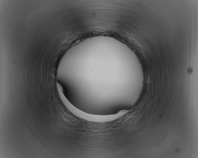 X0000102000868200808081658