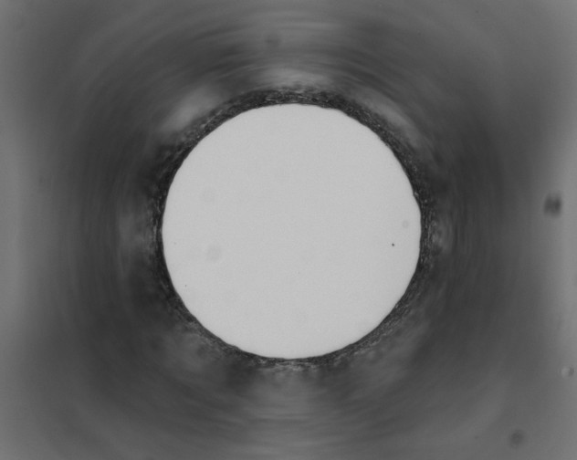 X0000102000869200808081658