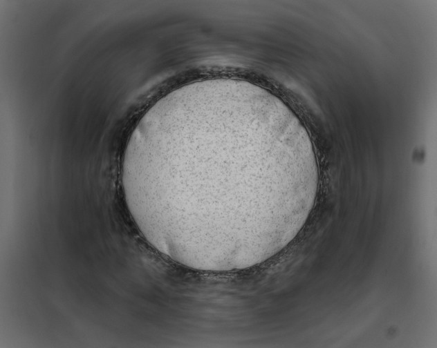 X0000102000870200808081658